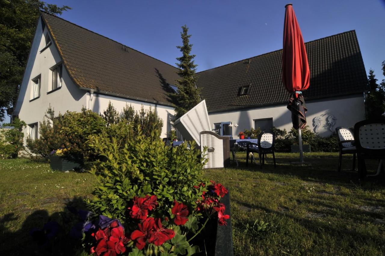 Hotel & Restaurant Seebruecke Zingst Oda fotoğraf